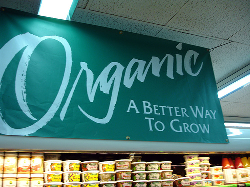 organic-foods