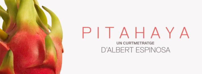 1609682_362211283907762_180023695_n