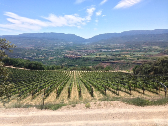 72f504cafa84c915dcca84b13b139619